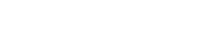 Ctx 3030 Metal Detector