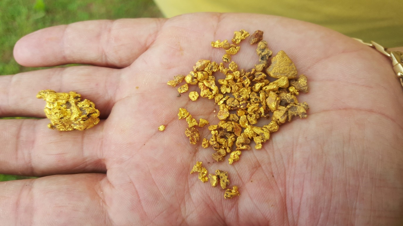 Gold nuggets found with Minelab