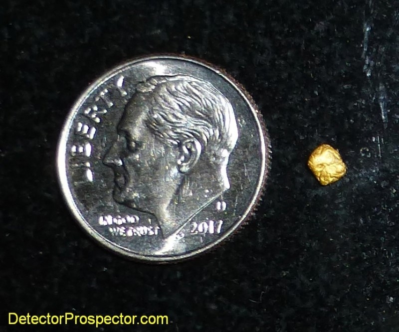 gold nugget found with GOLD MONSTER 1000