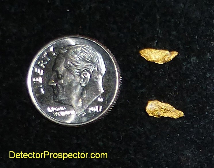 gold nuggets found with GOLD MONSTER 1000