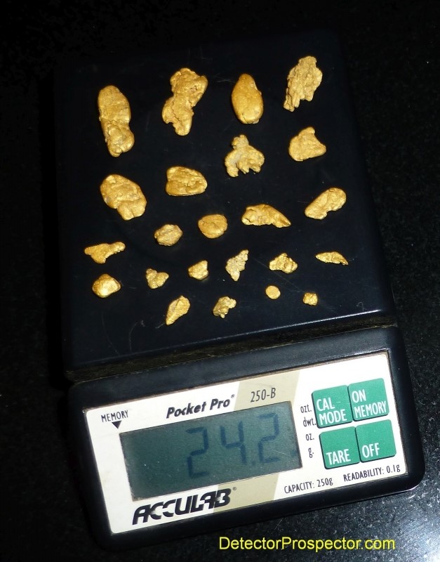 gold nuggets found with GOLD MONSTER 1000 