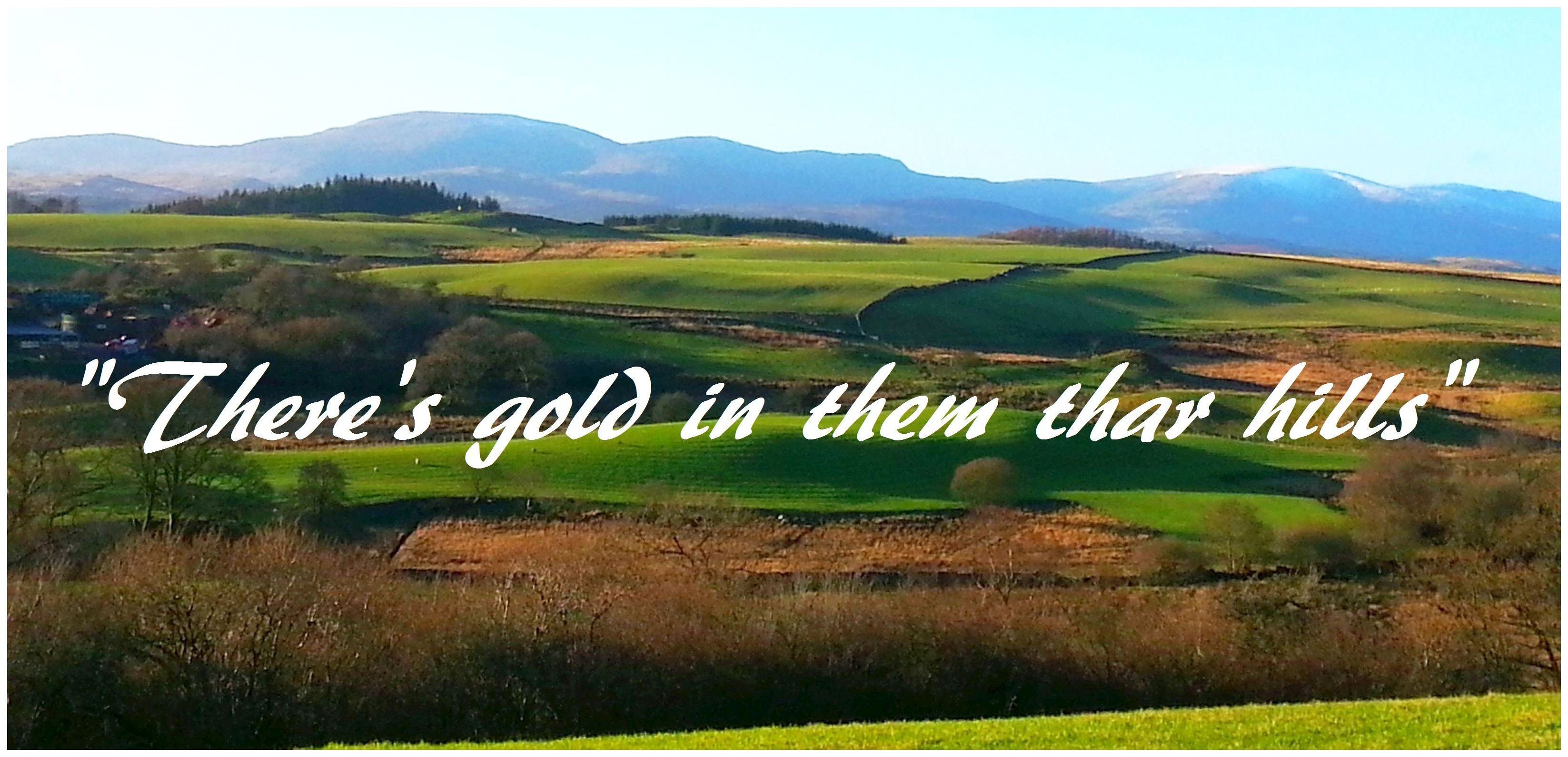Theres gold in them thar hills