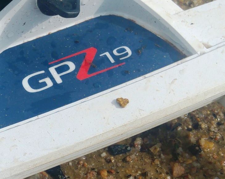 gpz 19